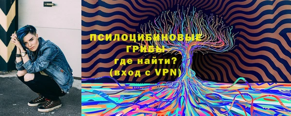 спайс Абаза