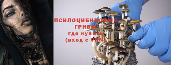 сатива Надым