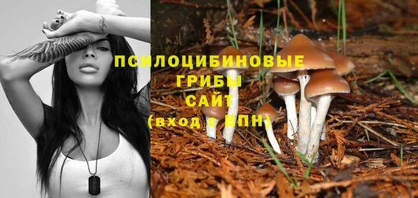 СК Абдулино