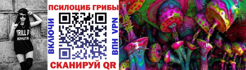 Галлюциногенные грибы мицелий  купить   Туапсе 