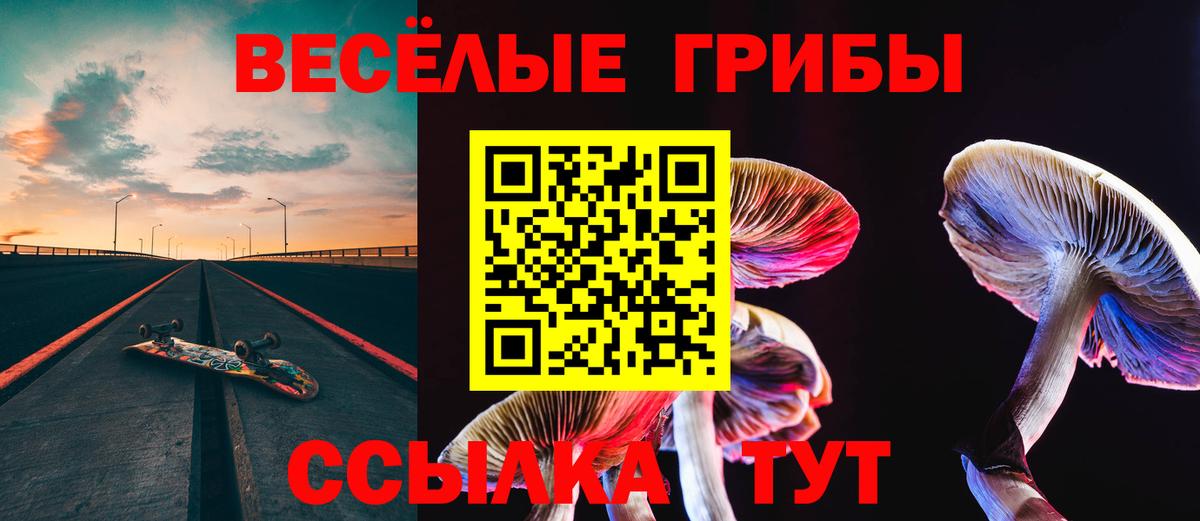 Туапсе  Галлюциногенные грибы Magic Shrooms  Вход с VPN 